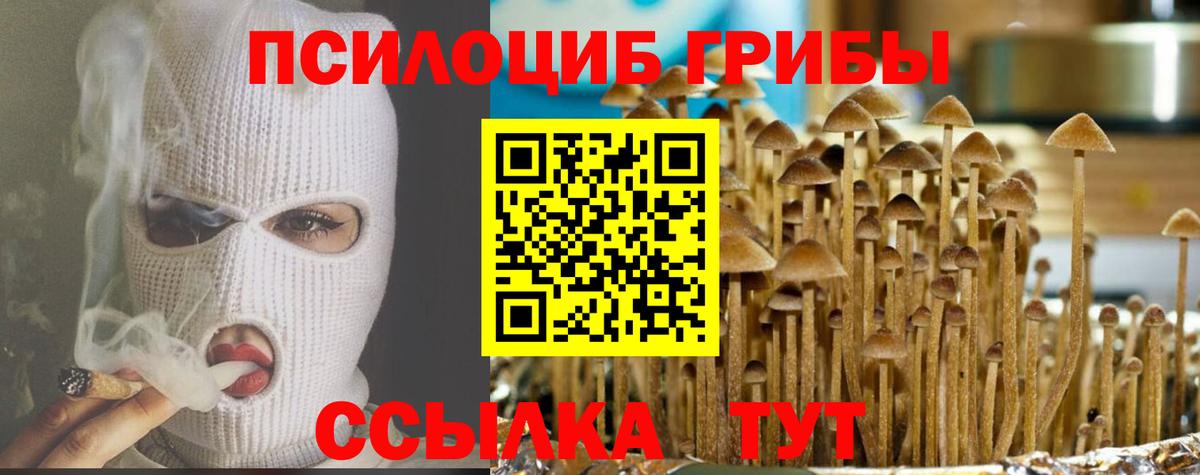 Псилоцибиновые грибы GOLDEN TEACHER  Вход с VPN  Каспийск 